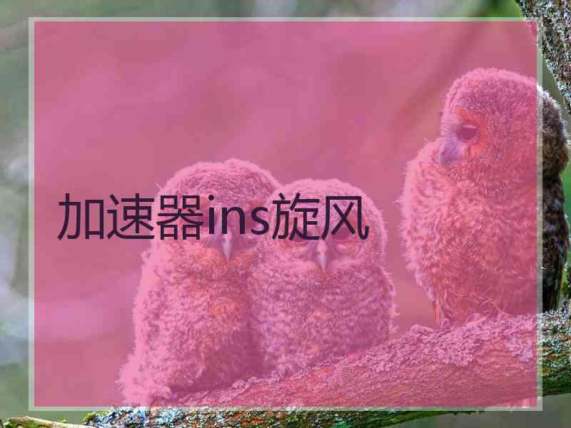加速器ins旋风