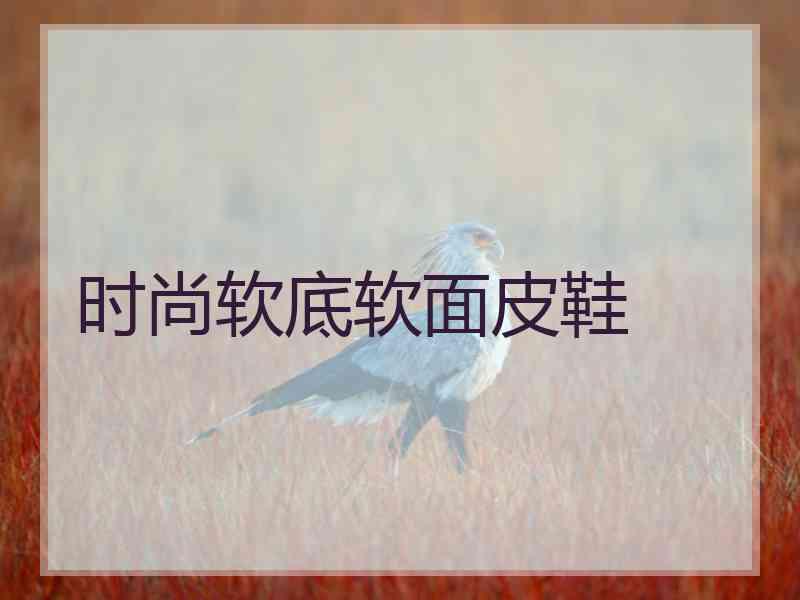 时尚软底软面皮鞋