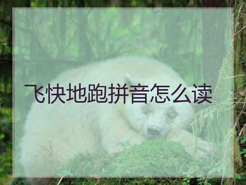 飞快地跑拼音怎么读