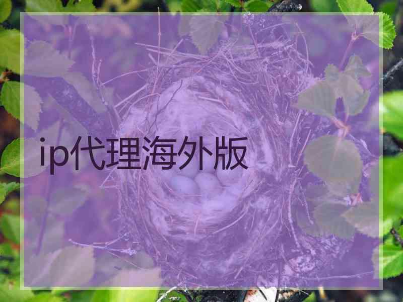 ip代理海外版