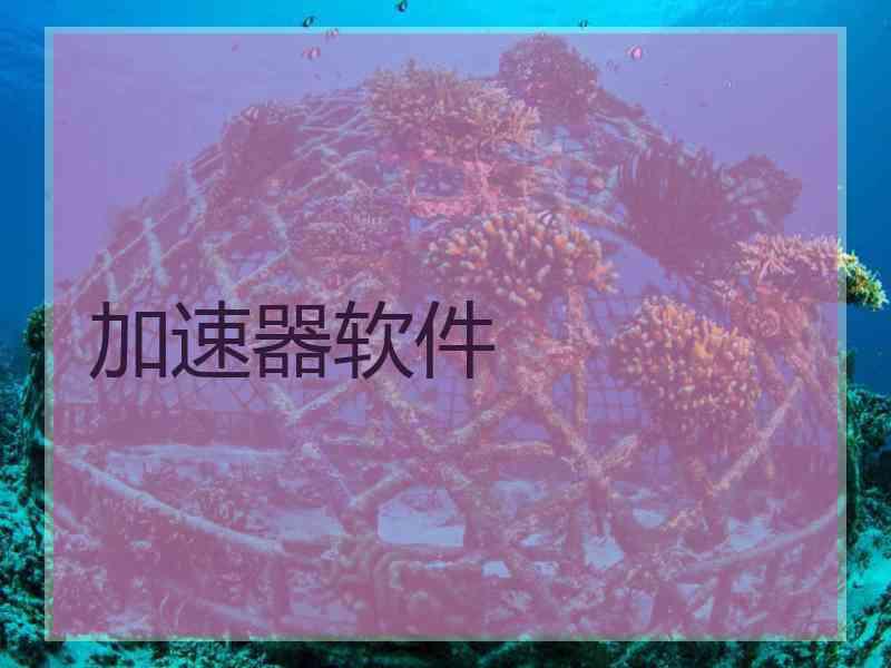 加速器软件
