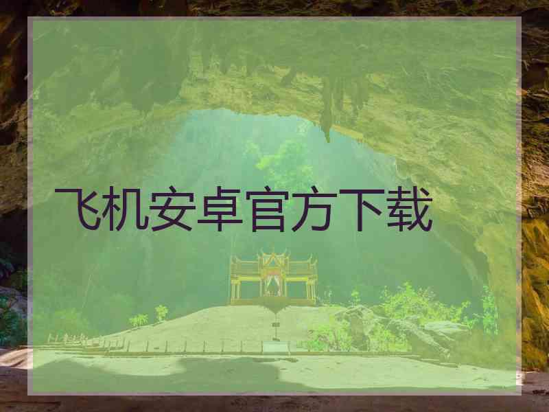 飞机安卓官方下载