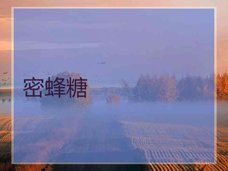 密蜂糖