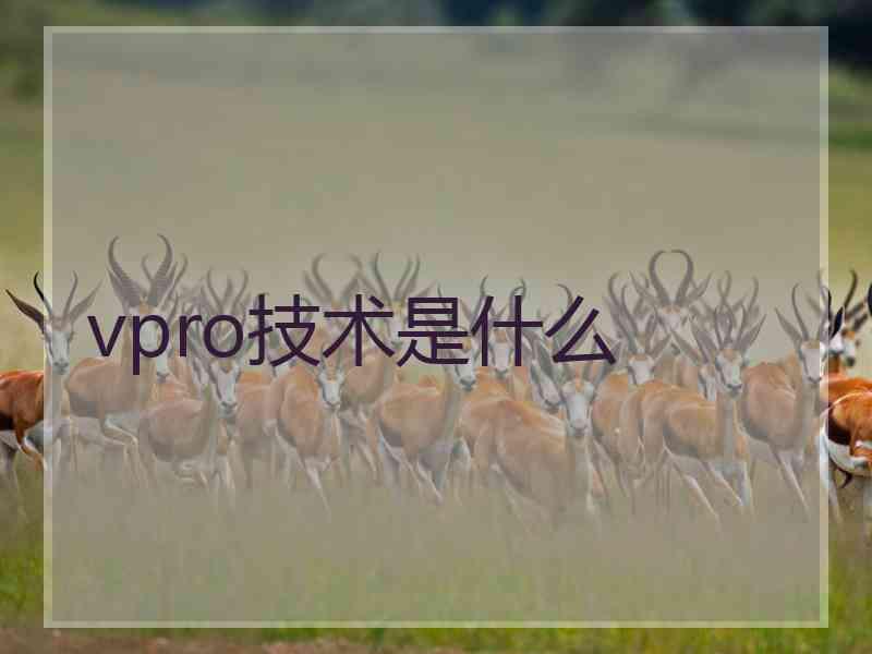 vpro技术是什么
