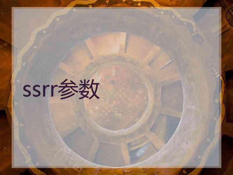 ssrr参数