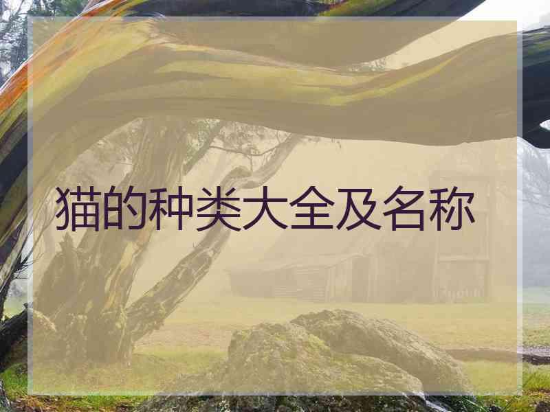 猫的种类大全及名称