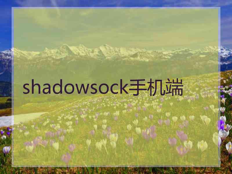 shadowsock手机端
