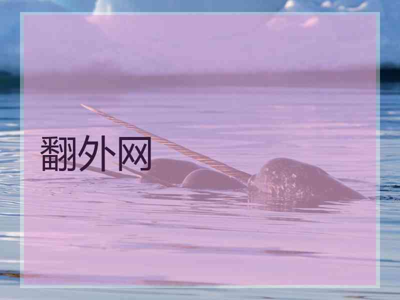 翻外网