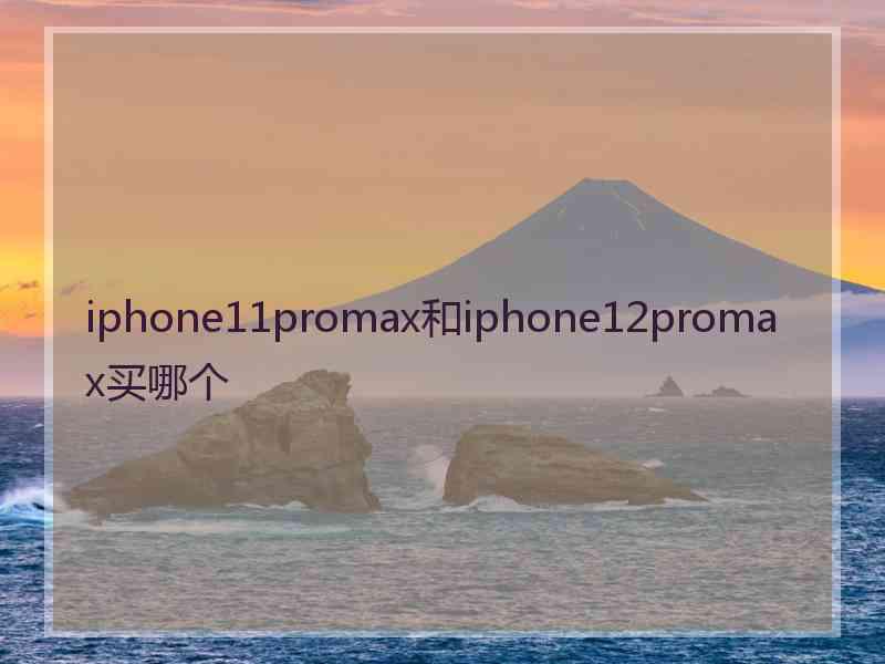 iphone11promax和iphone12promax买哪个