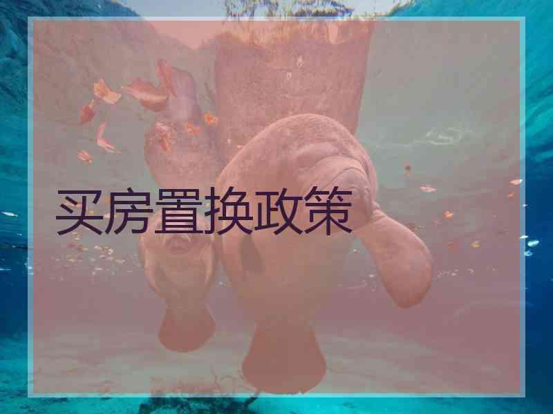 买房置换政策