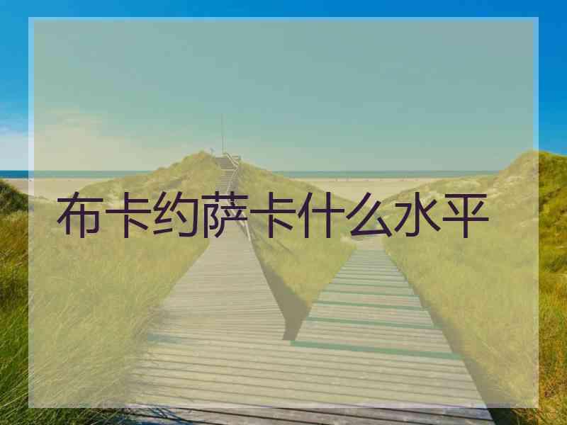 布卡约萨卡什么水平