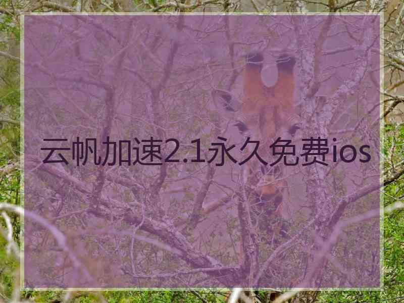 云帆加速2.1永久免费ios