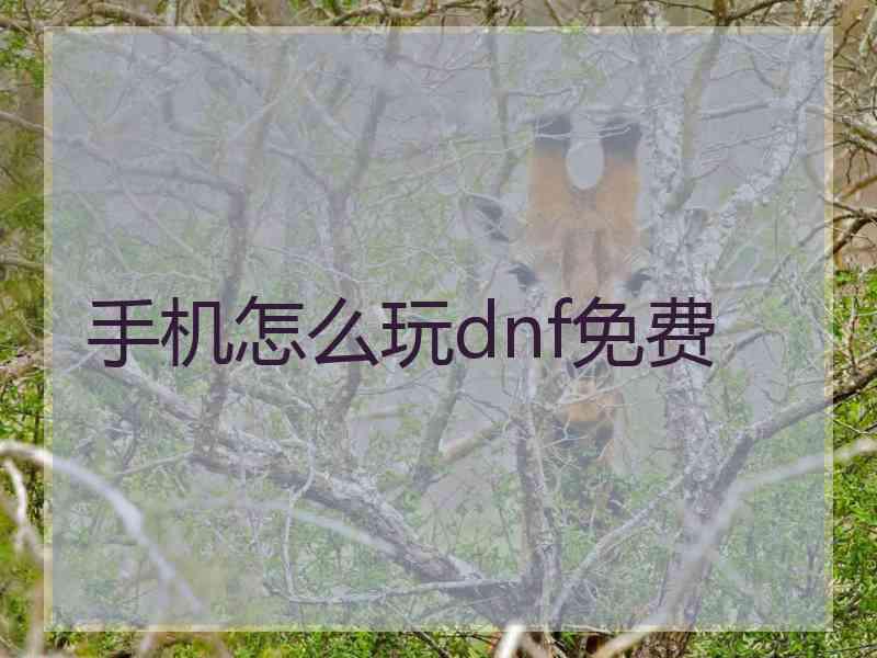 手机怎么玩dnf免费