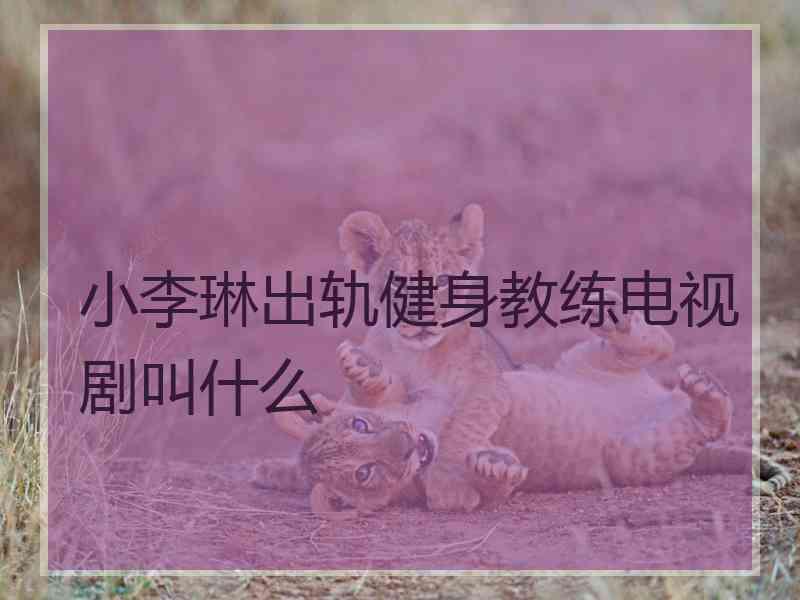 小李琳出轨健身教练电视剧叫什么