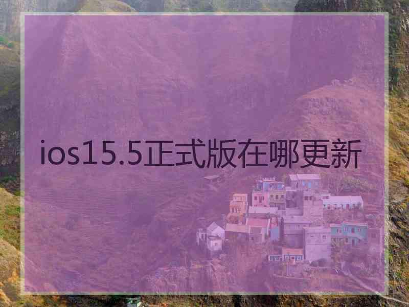 ios15.5正式版在哪更新