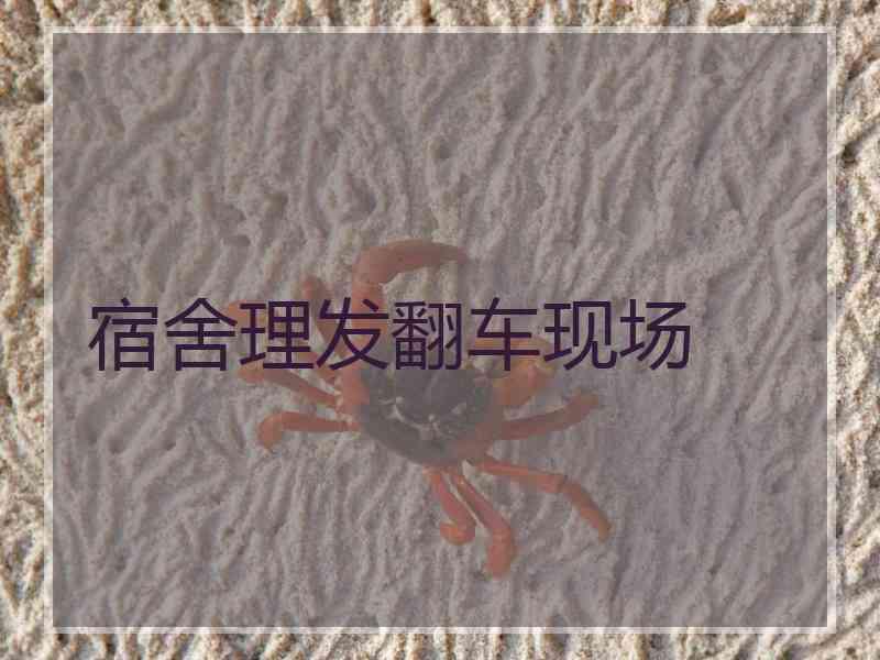 宿舍理发翻车现场