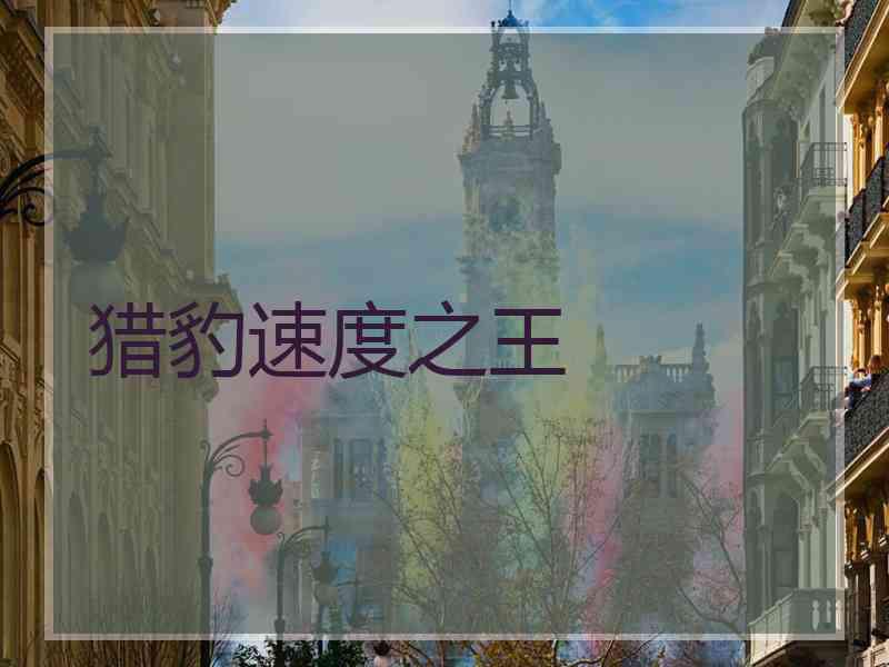 猎豹速度之王