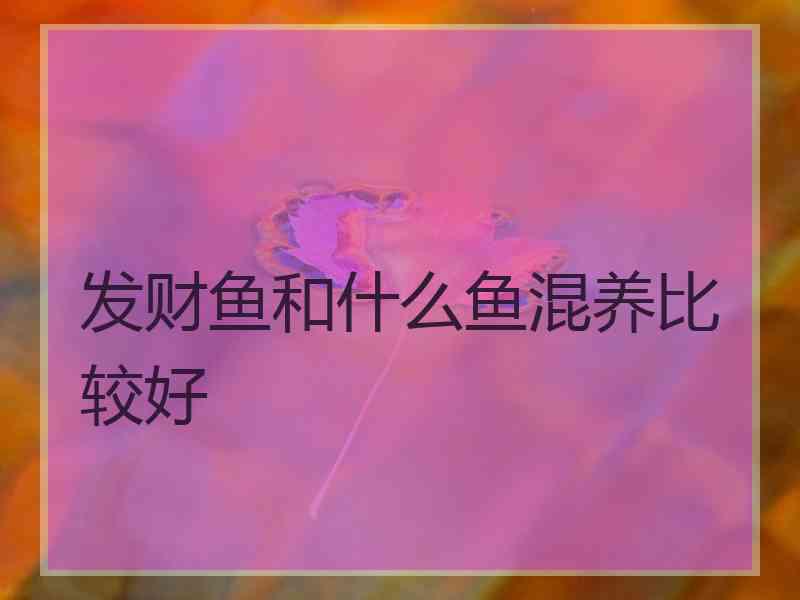发财鱼和什么鱼混养比较好