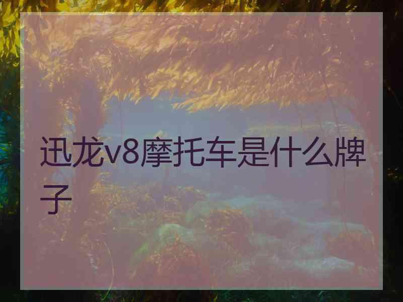 迅龙v8摩托车是什么牌子