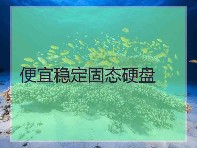 便宜稳定固态硬盘