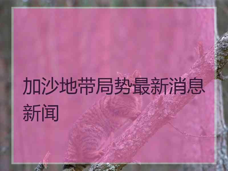 加沙地带局势最新消息新闻