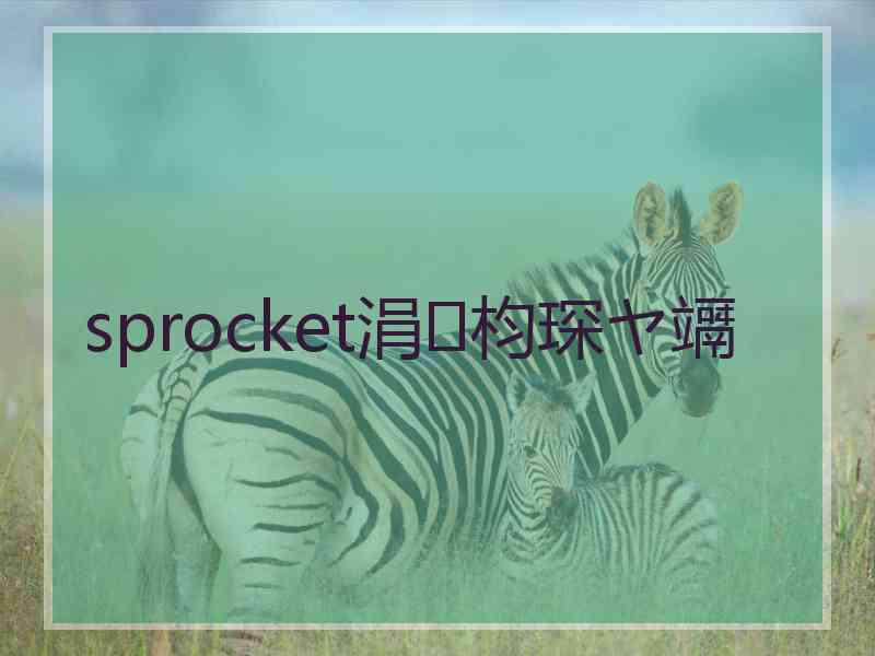 sprocket涓枃琛ヤ竵