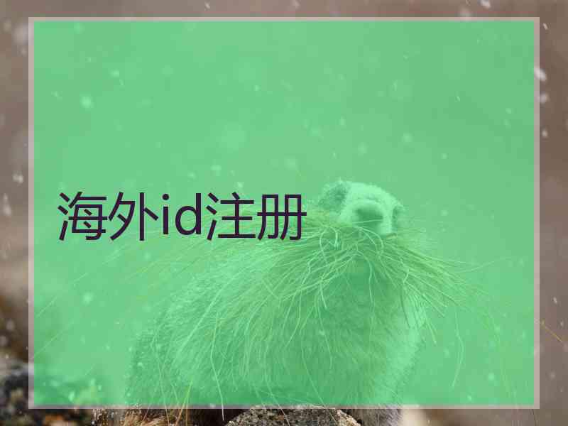 海外id注册