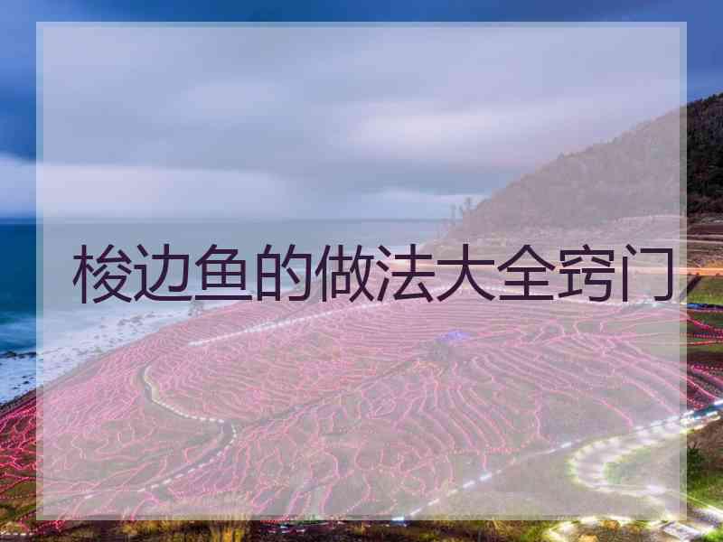 梭边鱼的做法大全窍门