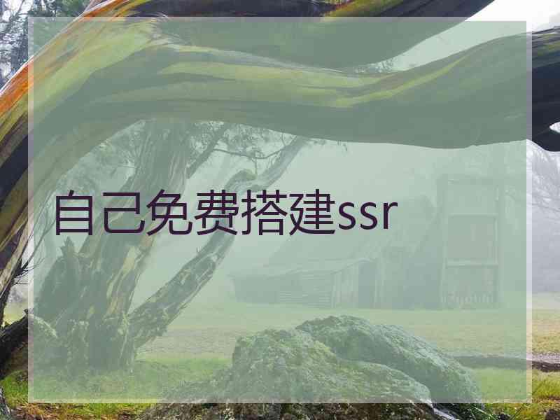 自己免费搭建ssr