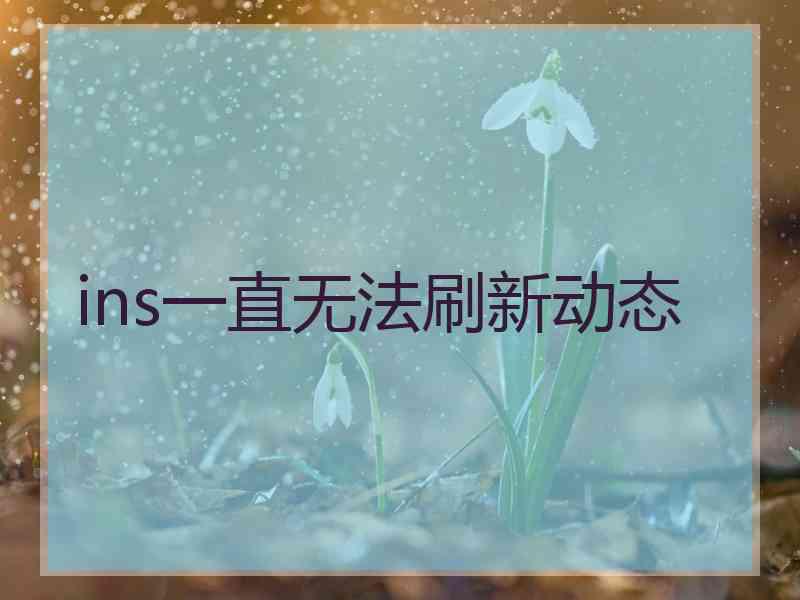 ins一直无法刷新动态