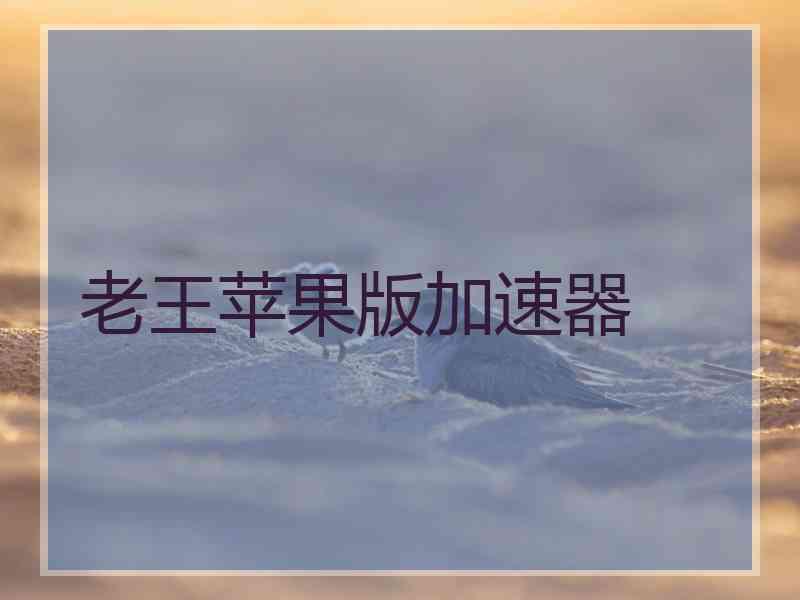老王苹果版加速器