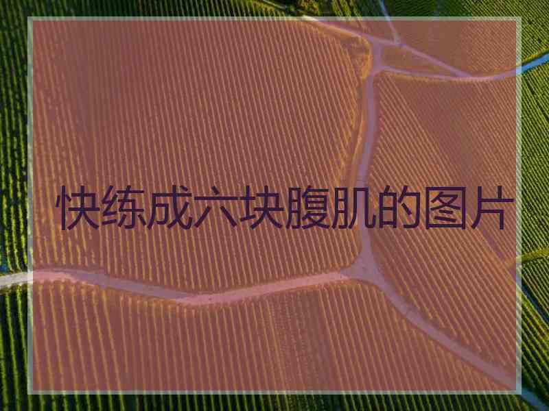 快练成六块腹肌的图片