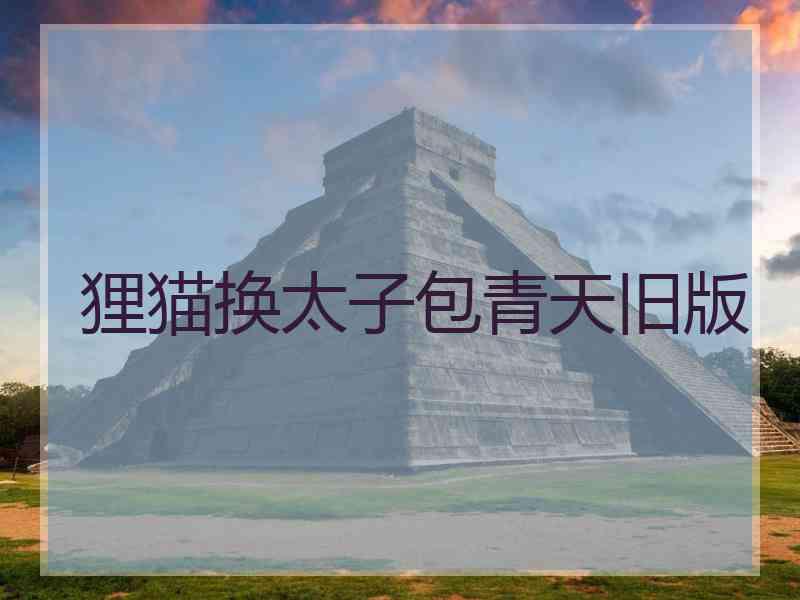 狸猫换太子包青天旧版