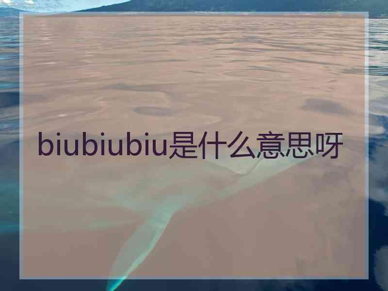 biubiubiu是什么意思呀