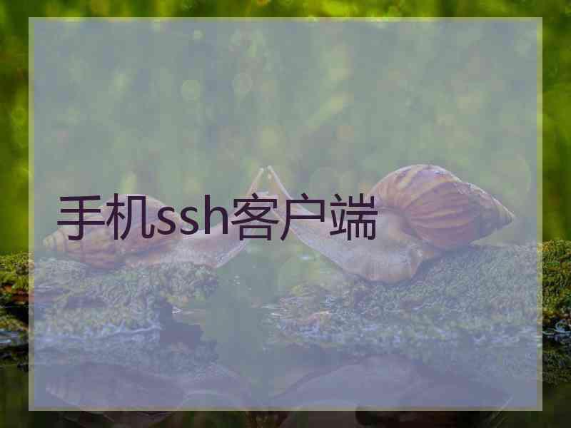 手机ssh客户端