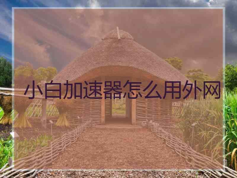 小白加速器怎么用外网