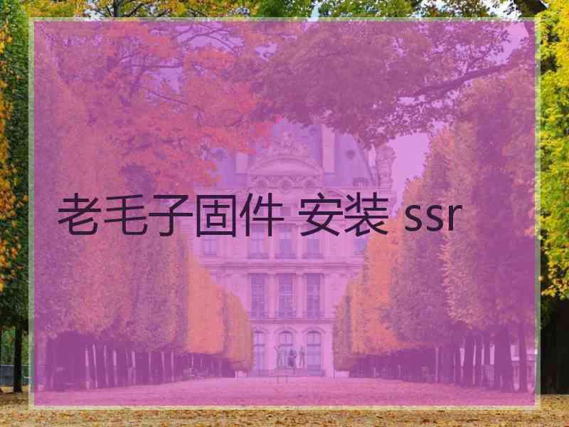 老毛子固件 安装 ssr