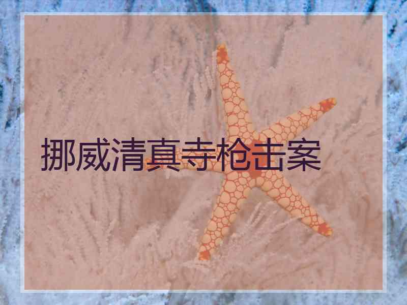 挪威清真寺枪击案