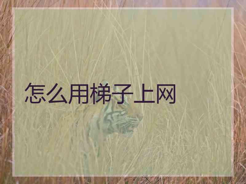 怎么用梯子上网