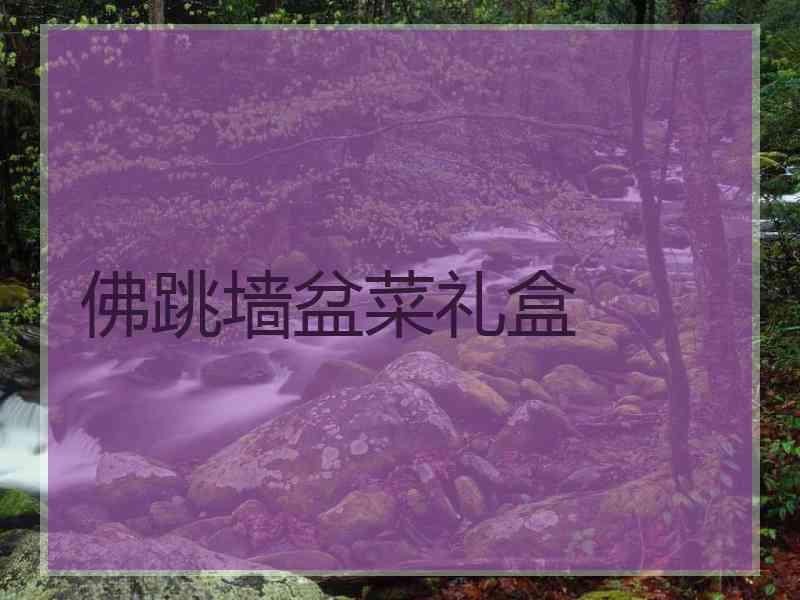 佛跳墙盆菜礼盒