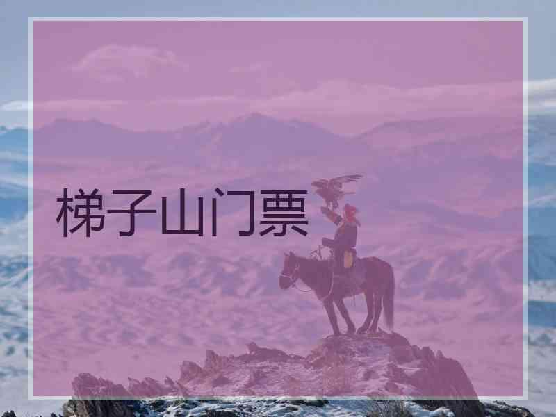 梯子山门票