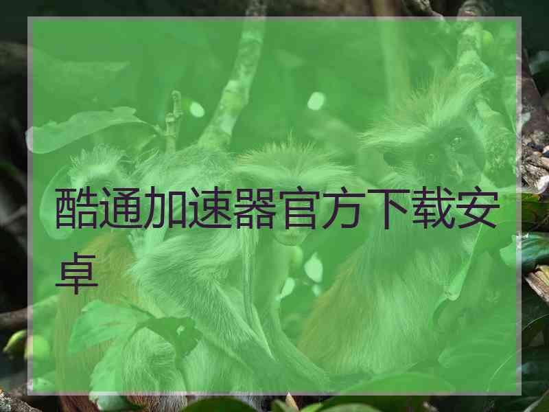 酷通加速器官方下载安卓