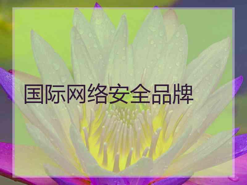 国际网络安全品牌