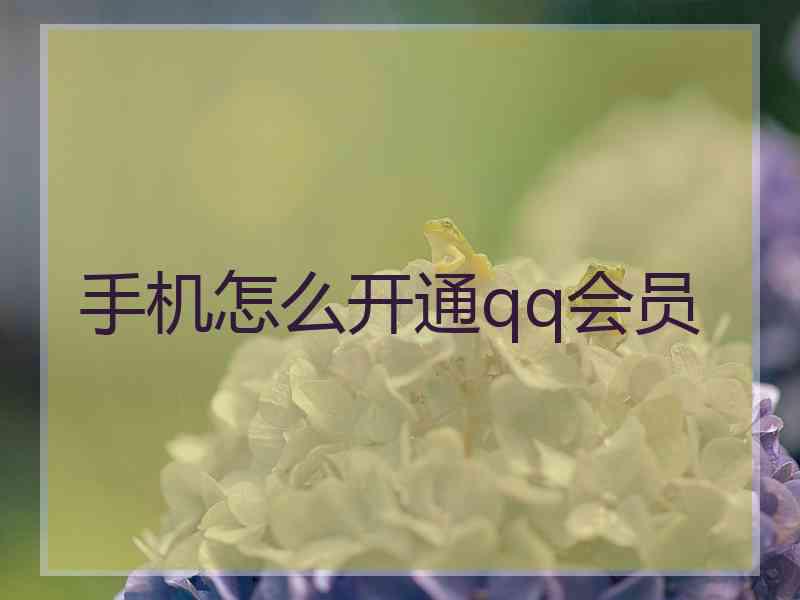 手机怎么开通qq会员