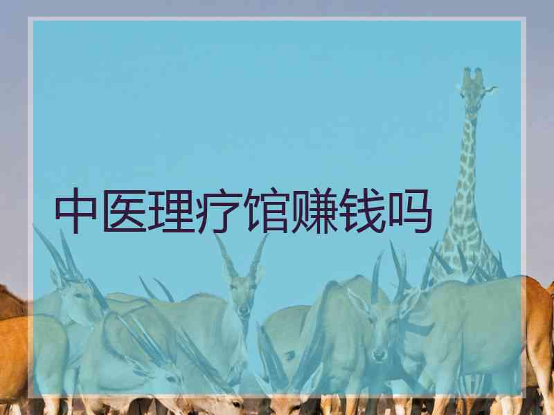 中医理疗馆赚钱吗
