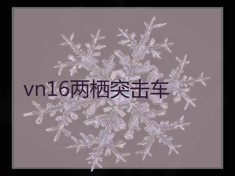 vn16两栖突击车