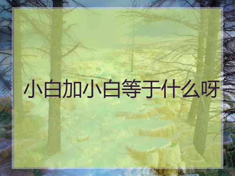小白加小白等于什么呀