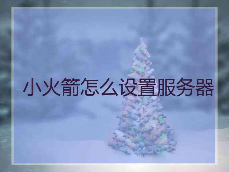 小火箭怎么设置服务器