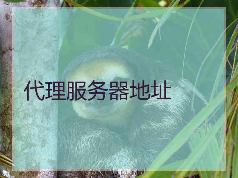代理服务器地址