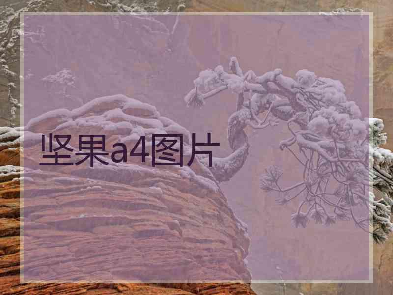坚果a4图片